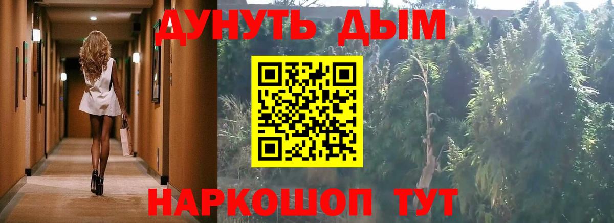 Канабис сатива Нурлат